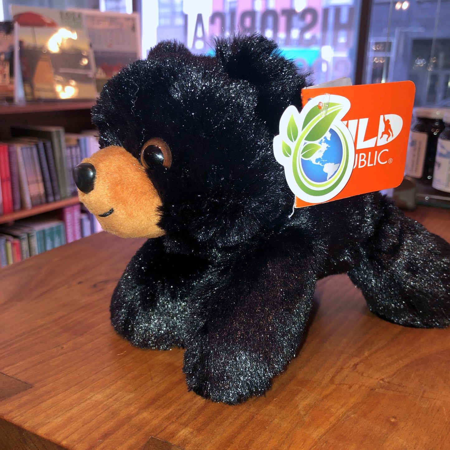 Black Bear Plush