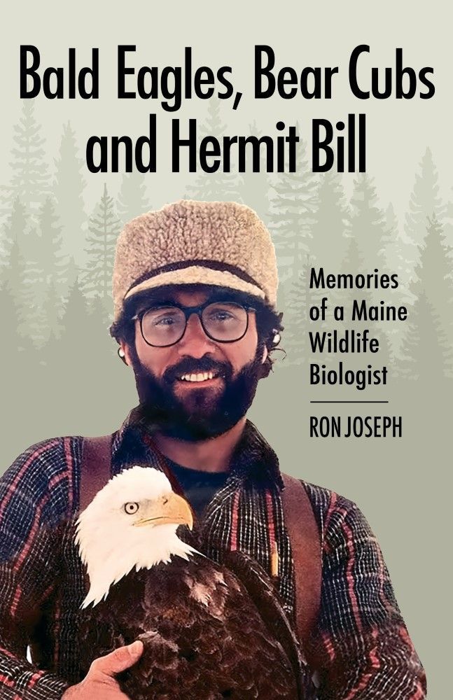 Bald Eagles, Bear Cubs, and Hermit Bill: Memories of a Maine Wildlife Biologist