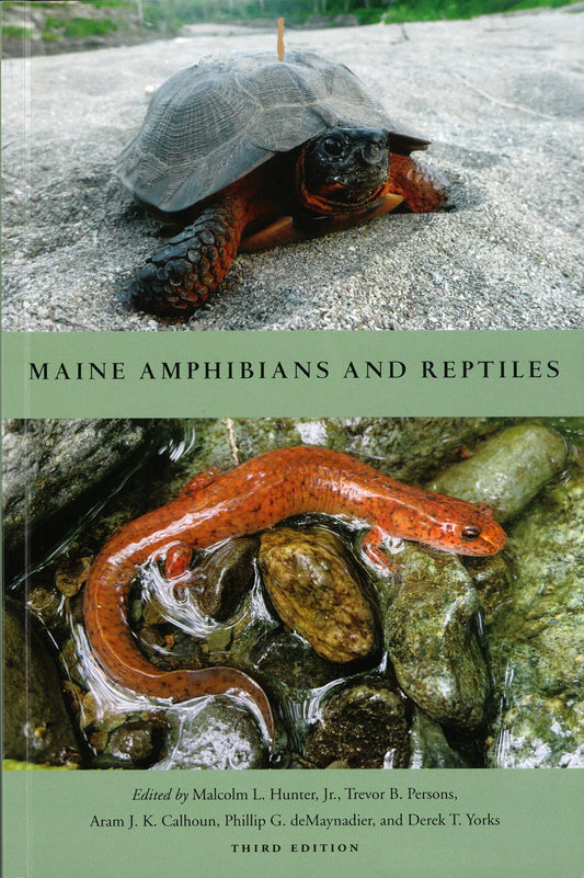 Maine Amphibians and Reptiles: Third Edition